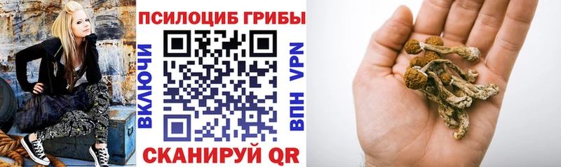 наркошоп  Медвежьегорск  Галлюциногенные грибы Magic Shrooms 